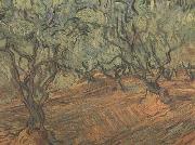 Vincent Van Gogh Olive Grove:Bright Blue Sky (nn04) Spain oil painting artist
